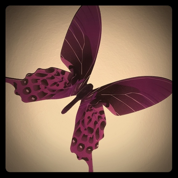 Meet your Posher, Debbie - Picture 1 of 1